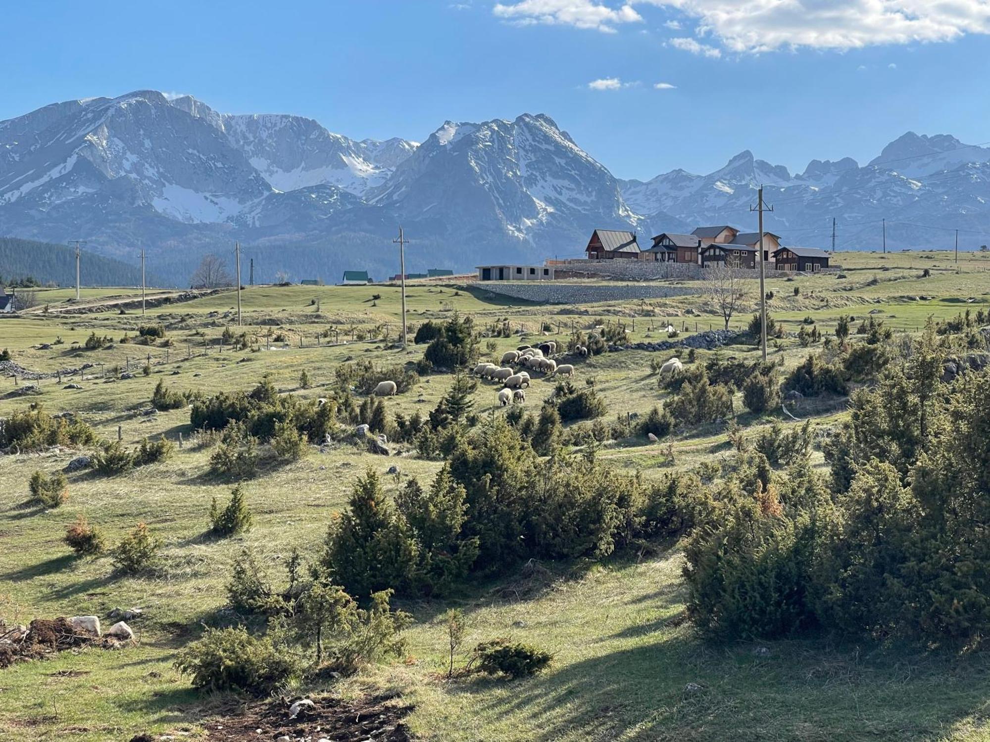 Peaksview Chalets Žabljak Buitenkant foto