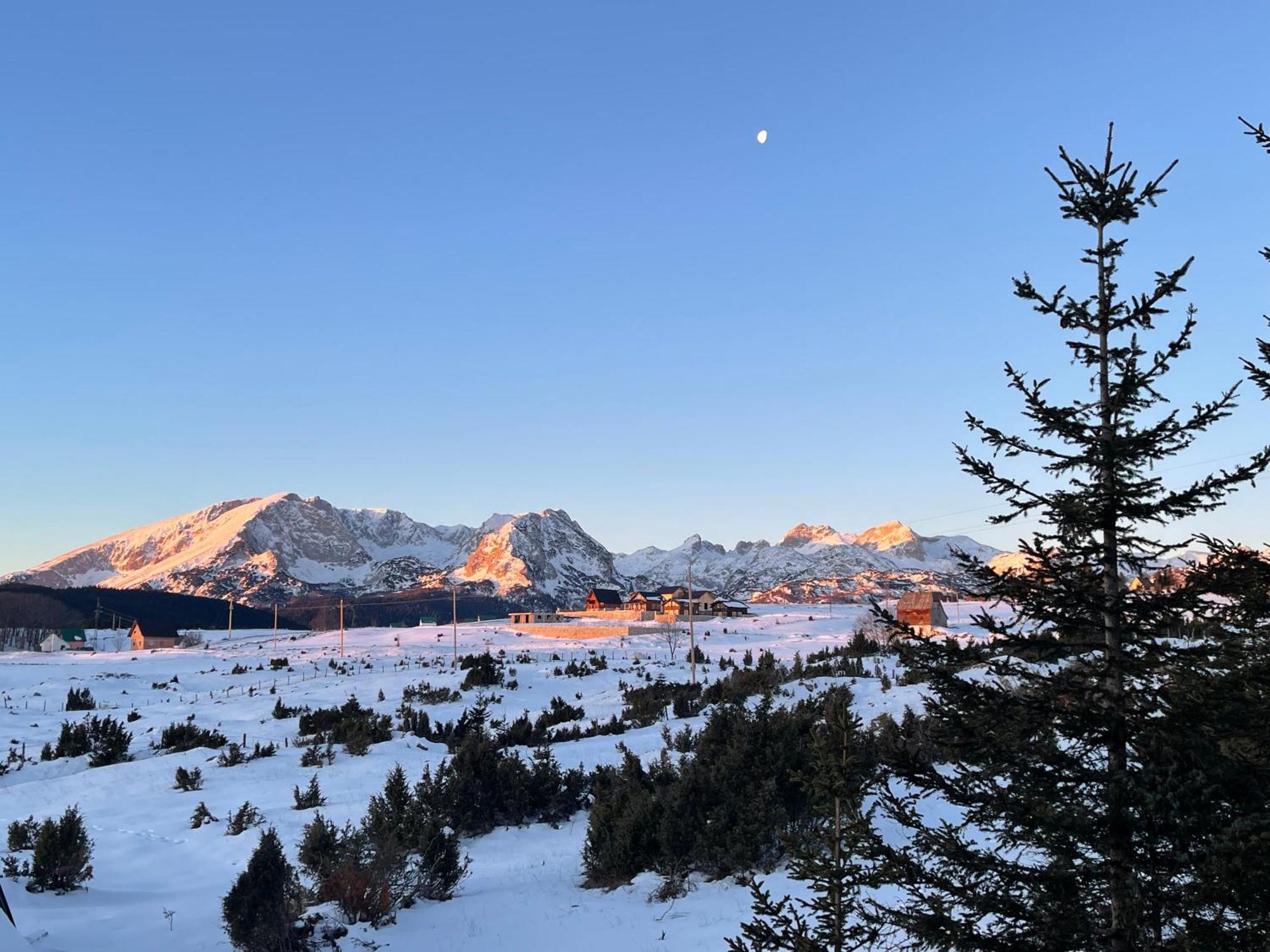 Peaksview Chalets Žabljak Buitenkant foto